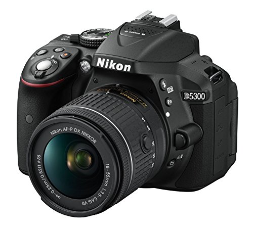 Nikon D5300 Digitalkamera DSLR, 24.1 Megapixel, SD 8 GB 200 x Premium Lexar [Nital Card: 4 Jahre Garantie]