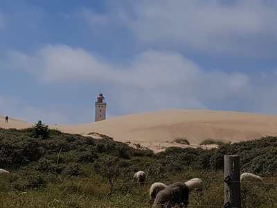 Rudbjerg Knude Leuchtturm