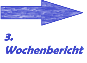 Nischenseite Wochenbericht 3